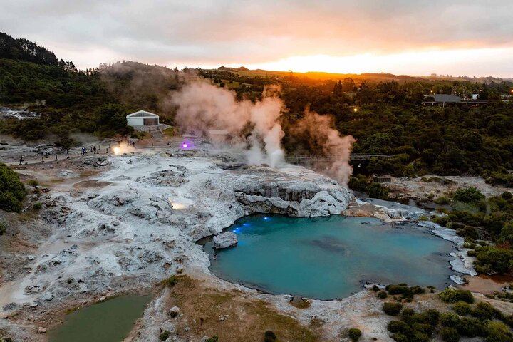 Bluey's with Pōhutu geyser