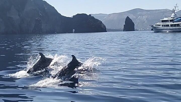 Boat Tour from Lipari between Volcanoes and Uncontaminated Landscapes 4/6 pax