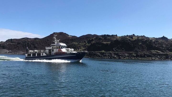 Boat Tour in Vestmannaeyjar