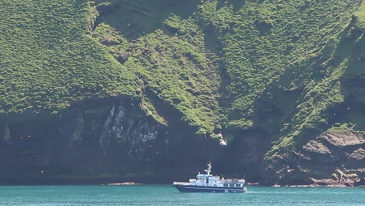 Boat Tour in Vestmannaeyjar