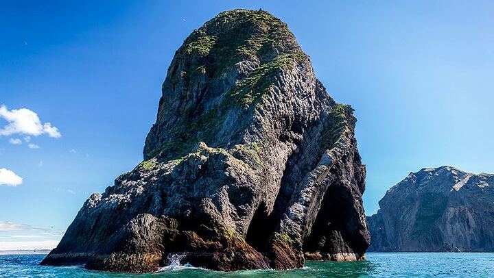 Boat Tour in Vestmannaeyjar