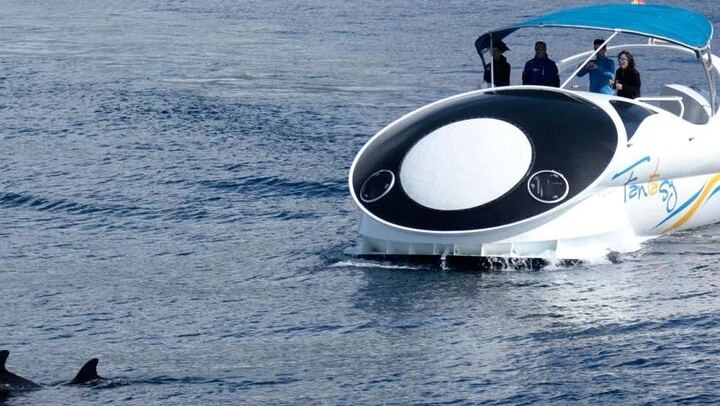Boat trip along the Northwest Coast of La Palma