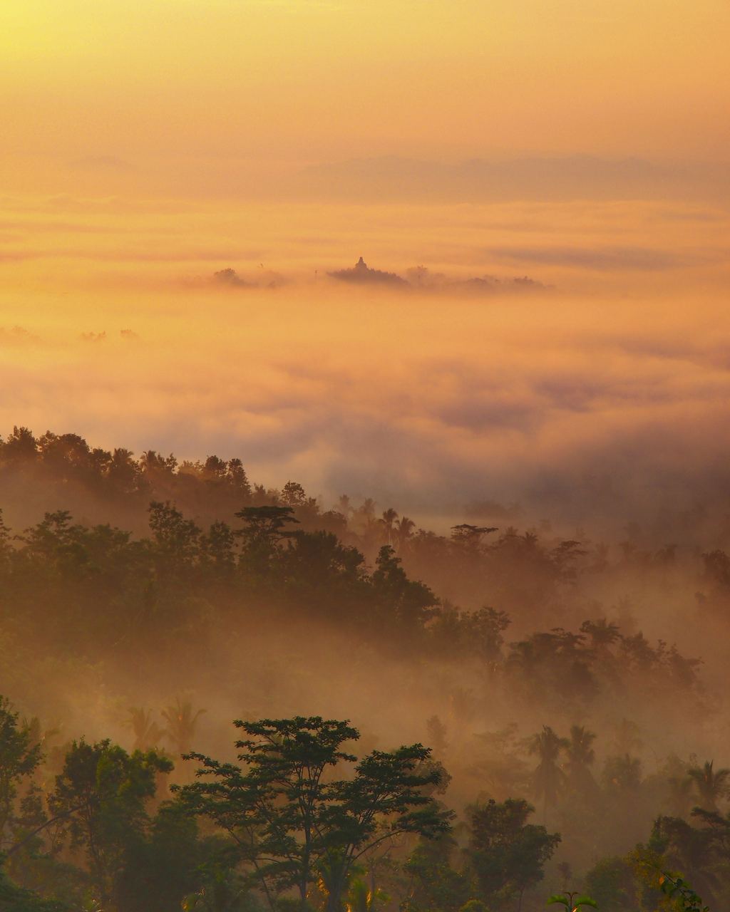 Borobudur temple in silhouette above mist and forest at dawn, seen from the hills west of the temple
