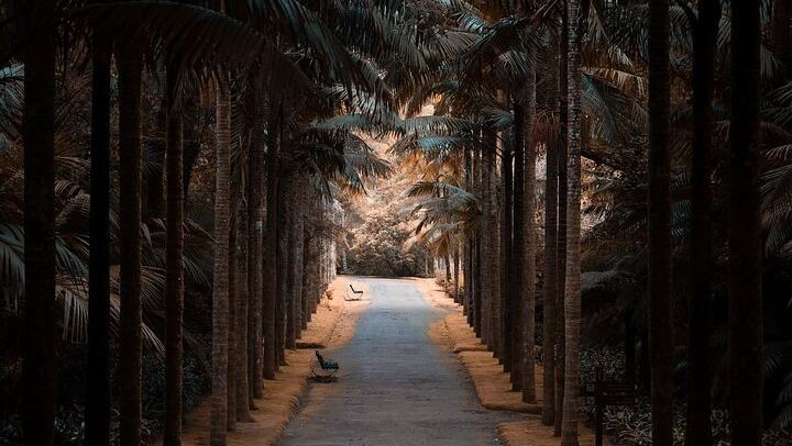 Botanical garden and Terra Nostra thermal pool