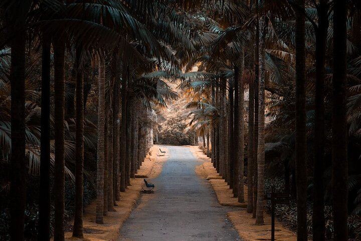 Botanical garden and Terra Nostra thermal pool