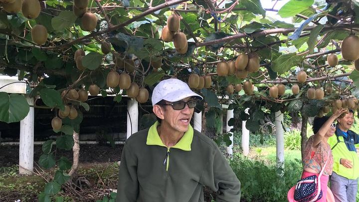 Boutique tour , Mt Maunganui, NZ farm, Rotorua lakes/geothermal