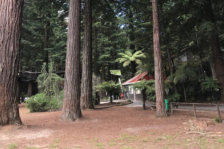 Boutique tour , Mt Maunganui, NZ farm, Rotorua lakes/geothermal