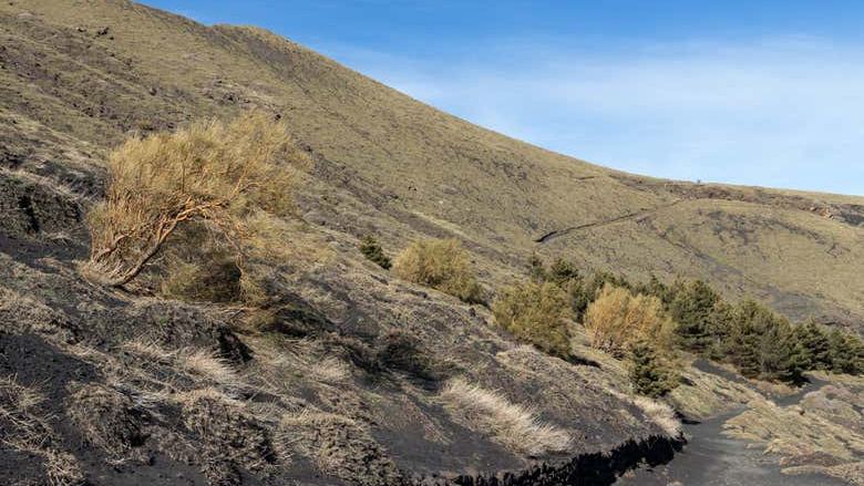 Bove Valley + Mount Etna Hiking Tour