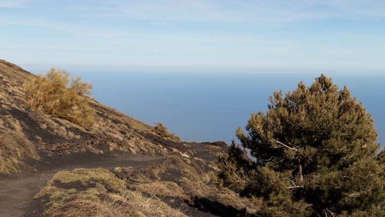 Bove Valley + Mount Etna Hiking Tour