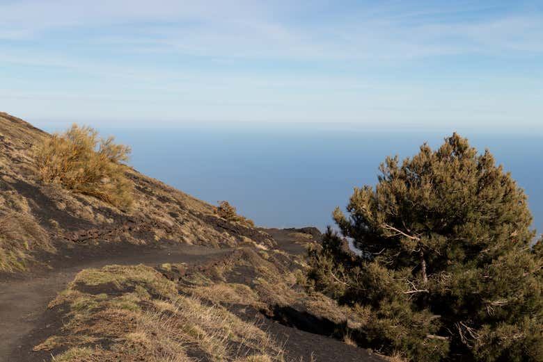 Bove Valley + Mount Etna Hiking Tour