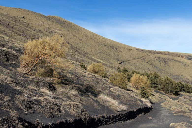Bove Valley + Mount Etna Hiking Tour