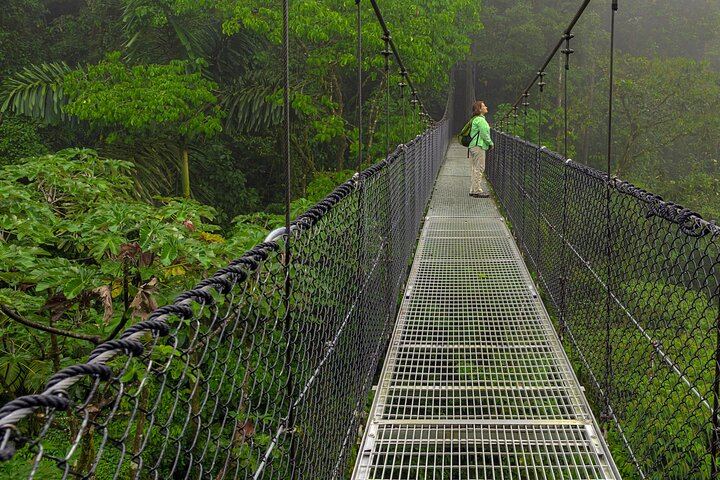 Hiking Lovers (Hanging Bridges + La Fortuna Waterfall + Volcano Hike)
