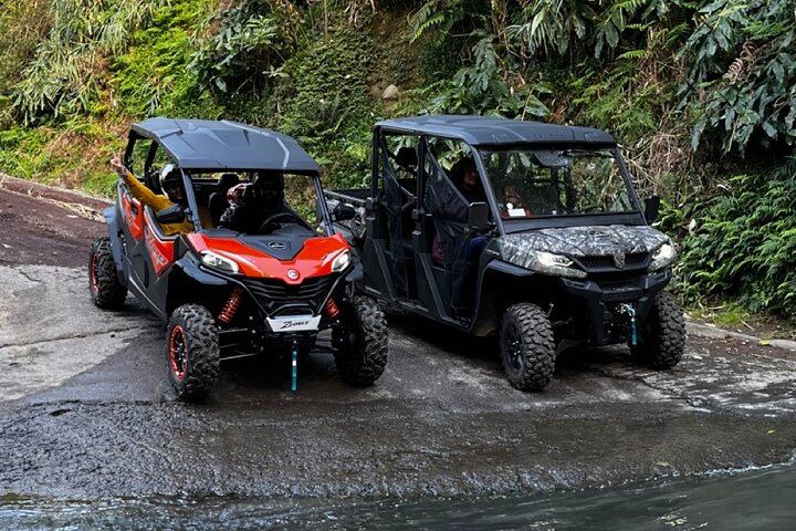 Buggy (SSV)
