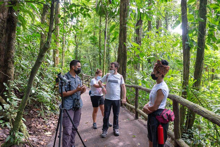 Buscando vida silvestre