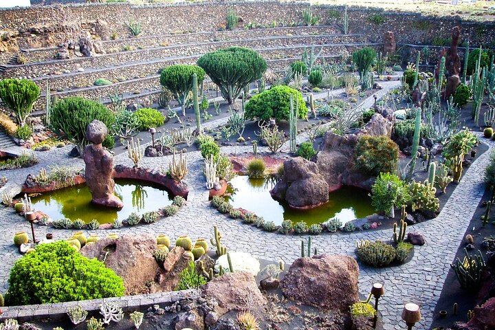 Cactus Garden