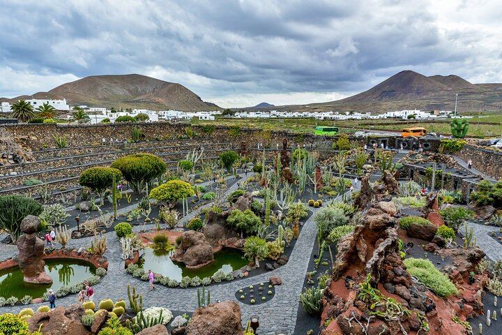 Cactus Garden