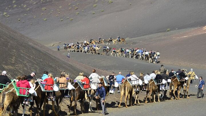 Camel Area at Timanfaya