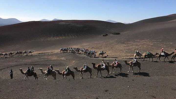 Camel Tour