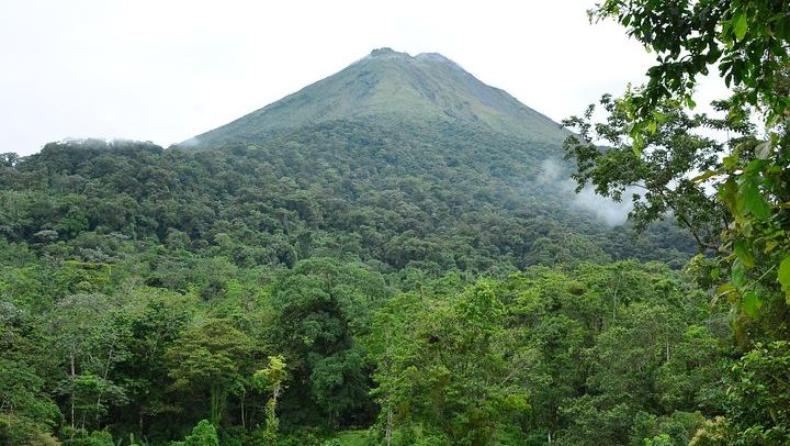 Canopy & Tarzan Swing In The Base of The Arenal Volcano