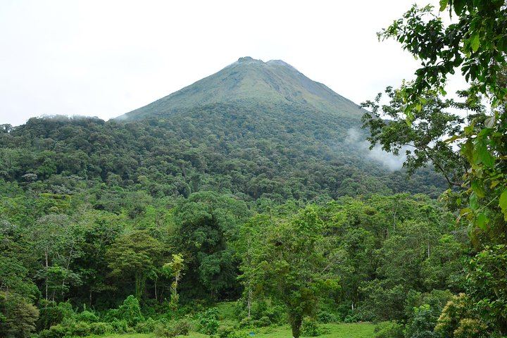 Canopy & Tarzan Swing In The Base of The Arenal Volcano