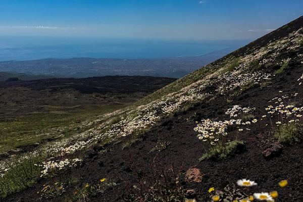 Etna Morning Jeep from Catania: Hornitos, Lava Caves and the Bove Desert