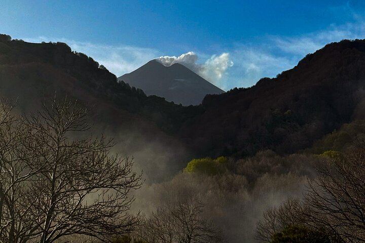 Catania: Morning Jeep Tour of Mount Etna and Lava Flow Caves
