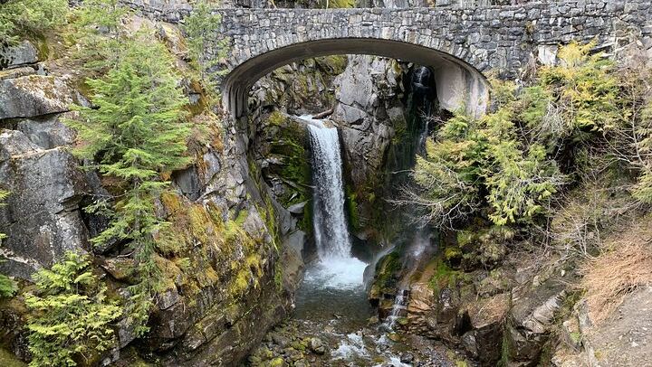 Christine Falls