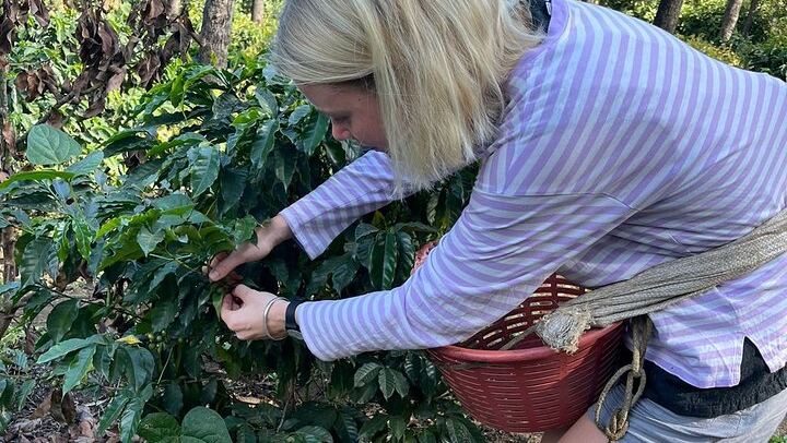 coffee cutting