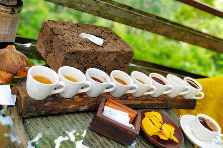 Coffee taste at Santi coffee plantation