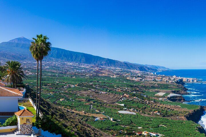 Coffee with views of Teide and the Orotava Valley?