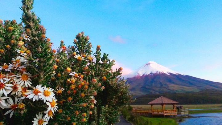 Cotopaxi Full-Day from Quito Including Entrances