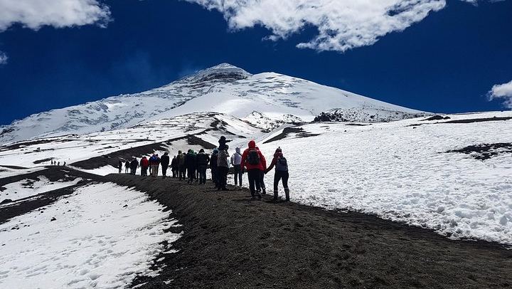 Cotopaxi Full-Day from Quito Including Entrances