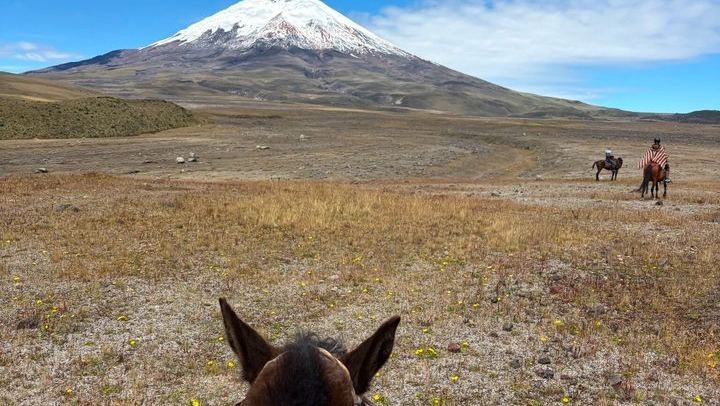 Cotopaxi tour from Quito -horseback ride and hike-NO TOURISTY way