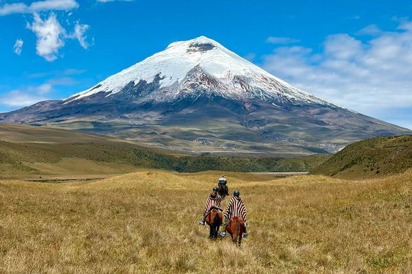 Cotopaxi from the North Gate: an Hour on Horseback with the Chagras, Then Base Camp