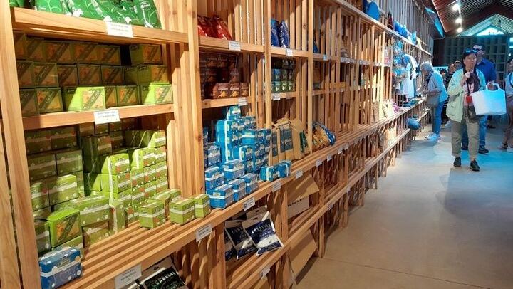 Cruise Travellers : Blue & Green Lake and Furnas Volcano wonders