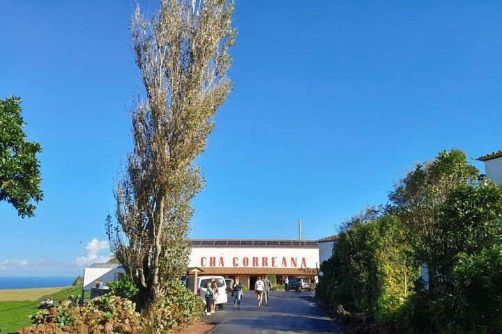 Cruise Travellers : Blue & Green Lake and Furnas Volcano wonders