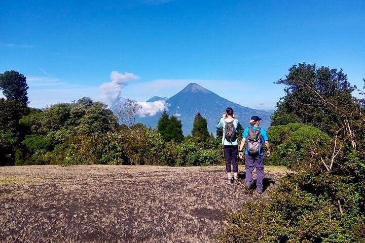 Day Tour to Pacaya Volcano from Antigua Guatemala on Private Vehicle