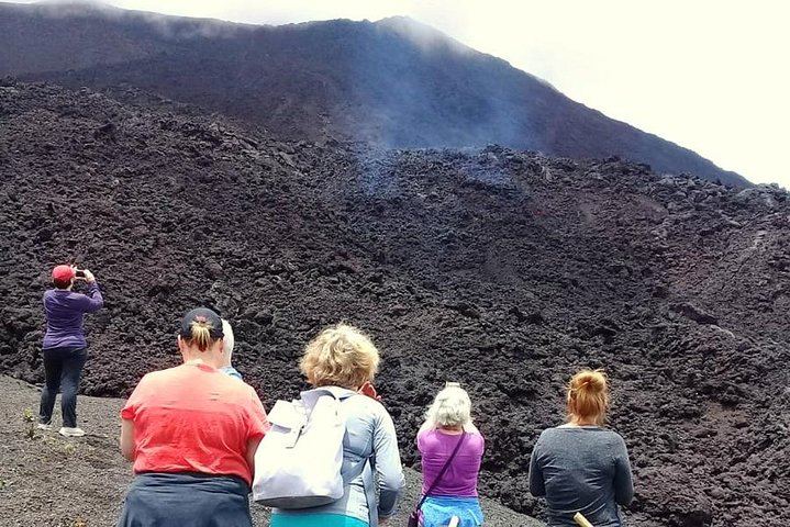 Day Tour to Pacaya Volcano from Antigua Guatemala on Private Vehicle