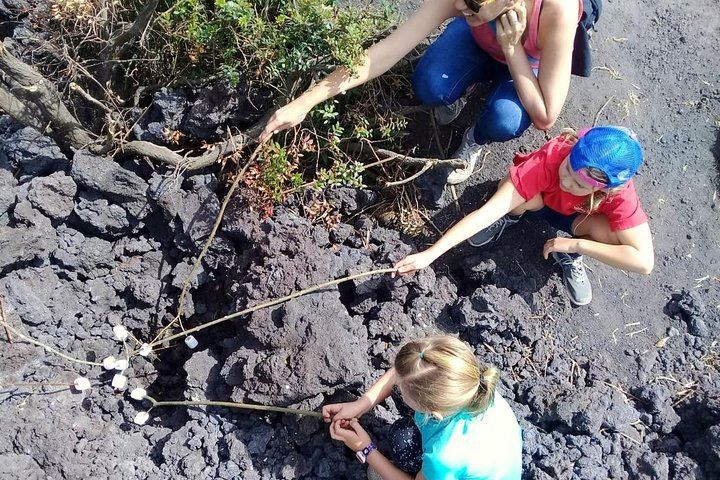 Day Tour to Pacaya Volcano from Antigua Guatemala on Private Vehicle