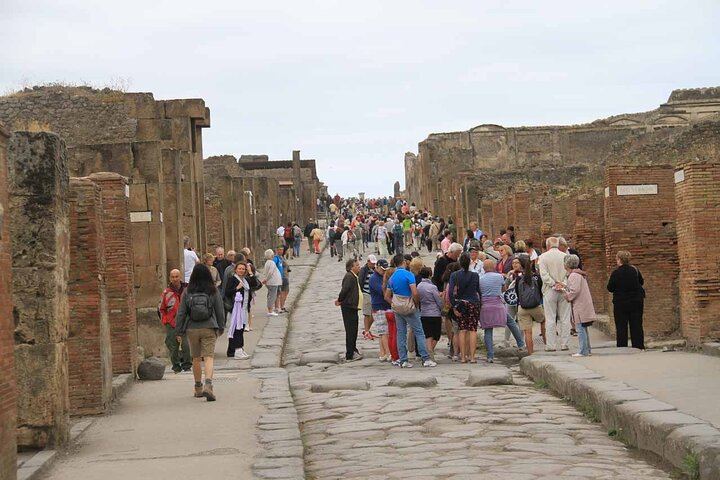 Day Trip to Pompeii, Herculaneum and Vesuvius from Naples