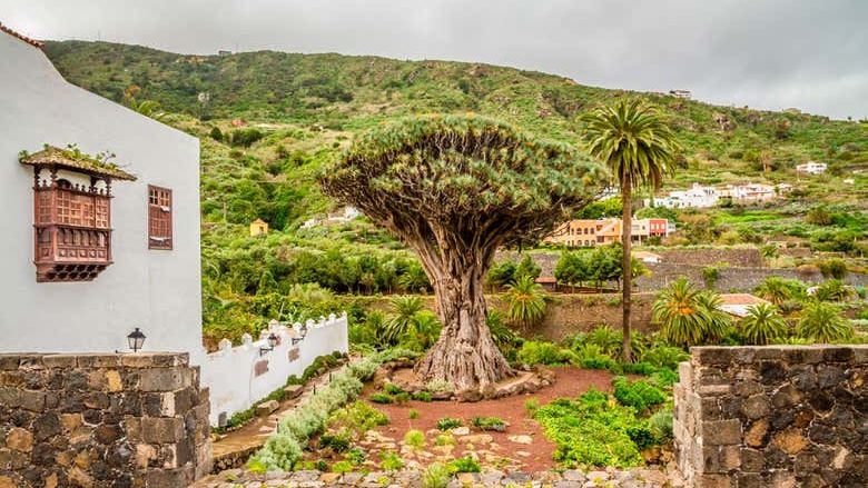 Day Trip to Teide, Icod, Masca & Garachico