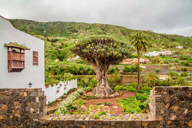 Day Trip to Teide, Icod, Masca & Garachico