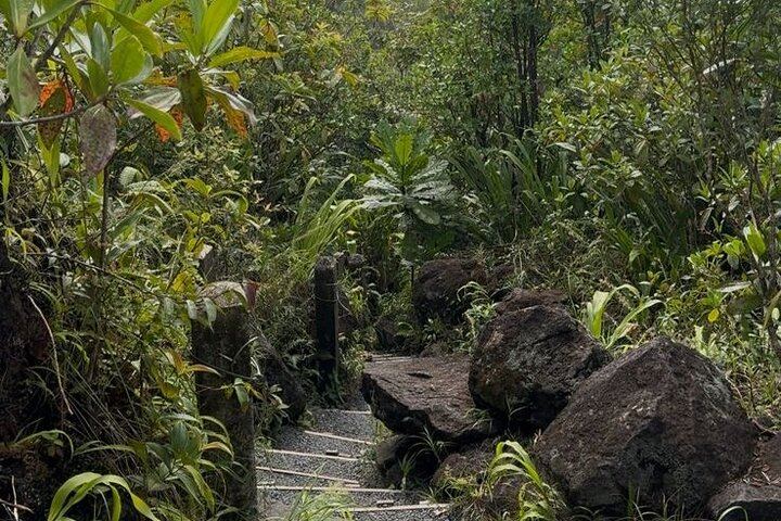 Descending from the summit