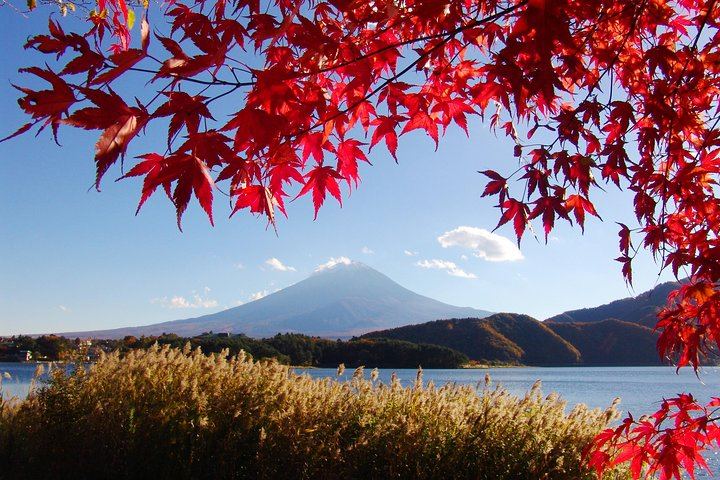 Discover Mt. Fuji area & Lake Kawaguchiko Sightseeing Day Tour