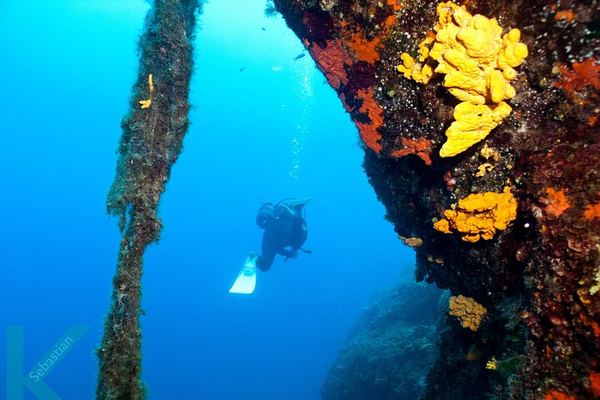 Discover Scuba Diving in the Caldera, from Akrotiri Beach