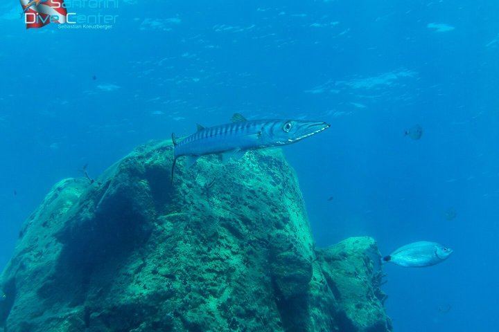 Discover Scuba Diving in the Caldera of the Volcano in Santorini