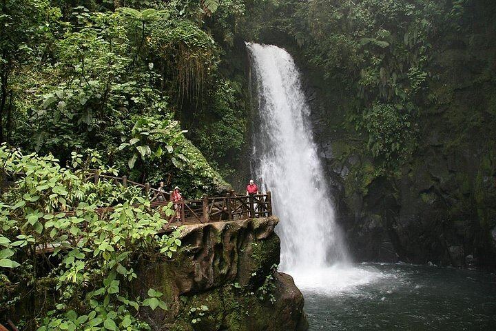 Doka Coffee Tour, Poas Volcano and La Paz Waterfall Day Trip from San Jose