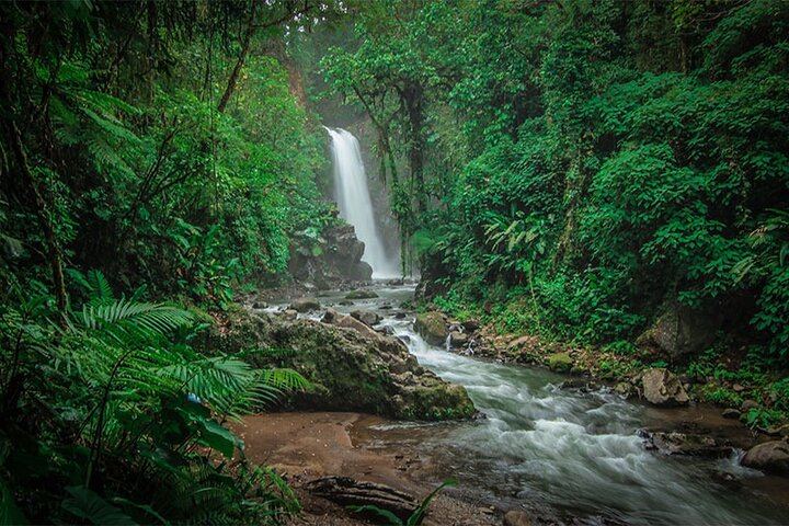 Doka Coffee Tour, Poas Volcano and La Paz Waterfall Day Trip from San Jose