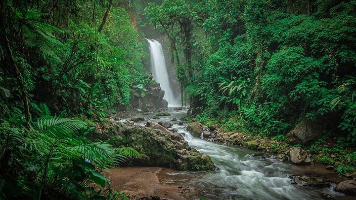 Doka Coffee Tour, Poas Volcano and La Paz Waterfall Day Trip from San Jose