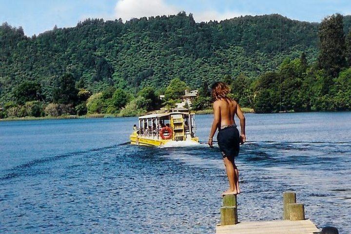 Duck on Okareka a Favoured Swimming Spot for Locals
